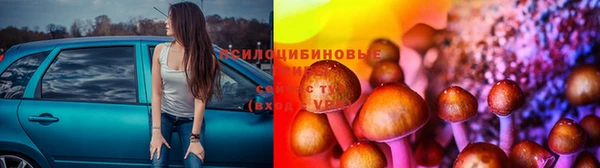прущие крисы Богородицк