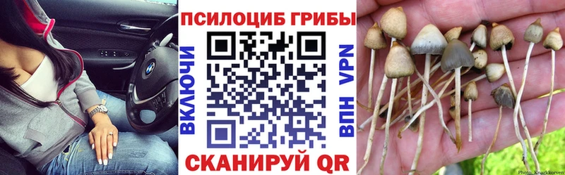 купить  цена  OMG зеркало  Галлюциногенные грибы Psilocybe  Великие Луки 