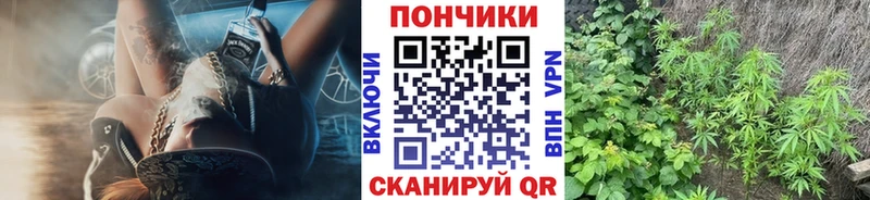 Бошки марихуана Amnesia  Великие Луки 